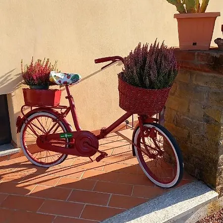 Il Girasole