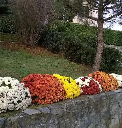 Il Girasole Гостевой дом Strevi