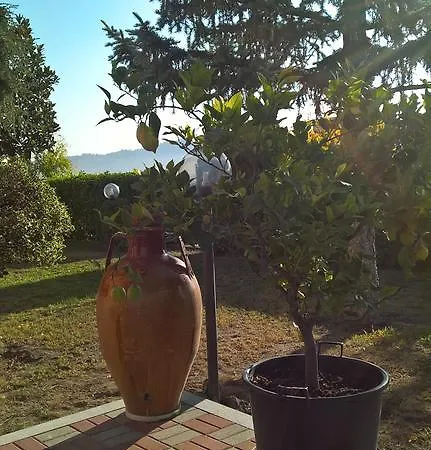Il Girasole