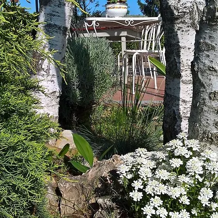 Il Girasole
